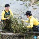 만성문화공원 이미지