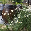 산토끼옹달샘 이미지