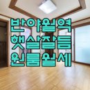 서호동-23 네이버블로그