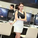 신채은 카카오 검색결과