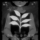 금성컴퍼니