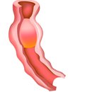 화성미소요양병원 이미지