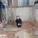 시티이용소 Daum카페
