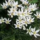 상담이론과실제 이미지