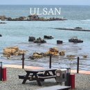 주전보밑항연안공원화장실 | 울산 동구 주전 보밑항피크닉장 주차위치 예약방법