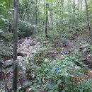 상야1리 이미지