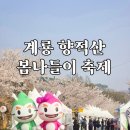 2026 계룡 향적산 봄나들이 축제 후기(대전 근교 벚꽃놀이)