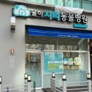 율하시티동물병원 이미지