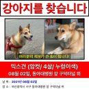 구덕운동장 육교 인근 이미지