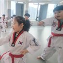 지축타이거킥스태권도장