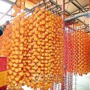 이재혁 농장 이미지