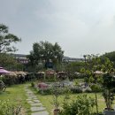 카페앨리스 - 영암군 대불주거5로 6 | 인천대공원 가족끼리 가기 좋은 주차가능 대형 베이커리카페 앨리스가든 후기