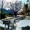 구천동1로 | 무주 구천동 덕유산 어사길 트레킹 단풍 코스