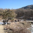 선림식당 이미지