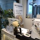 벨라루시 펫살롱 이미지