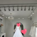 잔잔비어 | [본식가봉]렌느브라이덜 | 잔잔비즈 드레스 후기