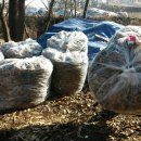 오솔길 농장 이미지