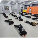 용인대 화랑 합기도 이미지