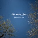 서원대박축산 | 캠핑/Camping) 김포 코브노마드 데크 XL-12 with 아이두젠 반타곤MAX