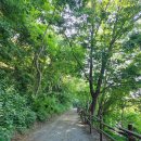서산버드랜드 전시관(1층) | 충남 아이랑 가볼만한곳 실내 체험 서산 버드랜드 체험 꿀팁