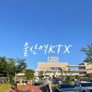 트리핀 울산역점 | [울산역(통도사)KTX 이용후기] 카페 및 식당, 편의시설(방문 일자 25.06월)