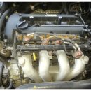 코뿔소카센타 이미지