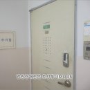 늘(Null)푸른