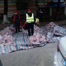 배달돼지 이미지