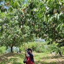 조치원 주차타워 이미지