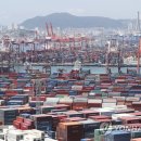 대미플러스 이미지