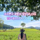금광제2카센타 | 가볼만한곳] 탁 트인 금광호수 뷰와 아름다운 꽃들이...힐링 산책로, '안성 수석정 수변화원' 방문 후기