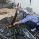 다시마 흑염소 이미지