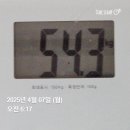 스위치온 다이어트였던 것_4주차(광고없음, 내맘대로 스위치온)