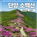 100대명산 소백산 연분홍 철쭉 보러갑니다 이미지