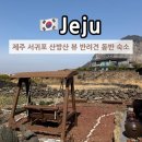 무출 | 제주 반려견 동반 여행 서귀포 산방산 사계해변 에어비앤비 독채 숙소 추천 무출