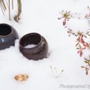 하얀농장 이미지