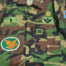 제1공수특전여단 이미지