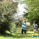 부산리 농장 이미지