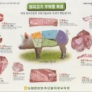 신토불이정육점 - 군산시 하나운로 44 | 신토불이정육점