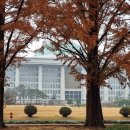 🟪망국적인 기득권 폐지와 공정 사회 구현을 위한 제언 이미지