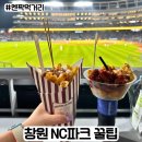 수정세탁소 | NC다이노스 엔씨파크 엔팍 창원구장 창원NC파크 주차 먹거리 구장 소개