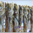 대포항 제1주차장 이미지