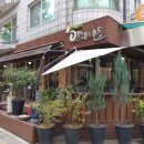 Moon안다미로