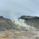 이오사슴 이미지