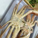 주문진 수산시장 - 대게 싸게먹을 수 있는 곳 추천