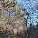 가섭암지화장실 이미지