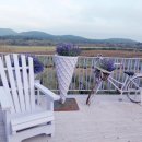 테마하우스민박 이미지