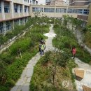 광주효덕초등학교 이미지