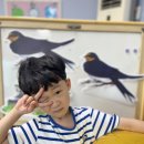 🌊바캉스 말고 유캉스 - 흥부와 놀부 게임🌊 이미지