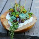 스타당구장 이미지